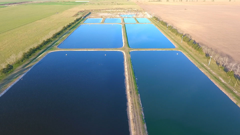 Servicio de Agua y Saneamiento